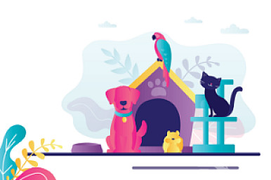 Animales, aves y sus suministros