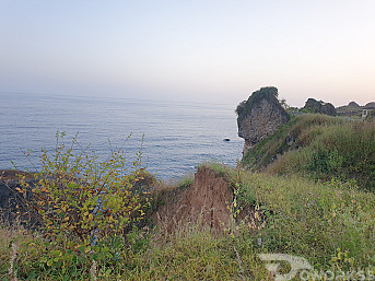 مرشد سياحي