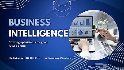 business intelligence project