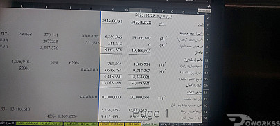 auditor