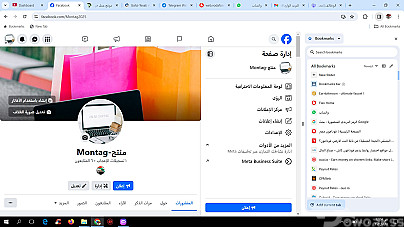 مدخل بيانات