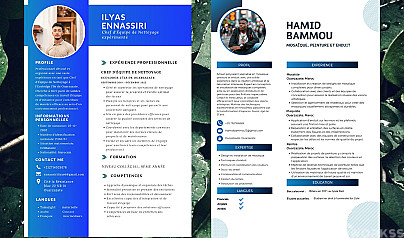 Writing cv or articles
