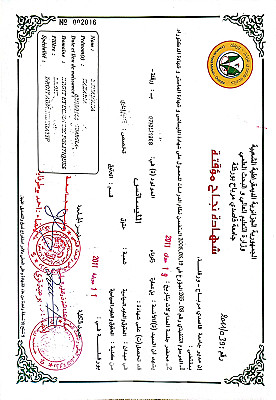 خدمة 1