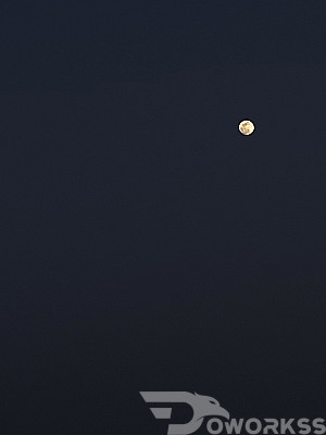 service image service image