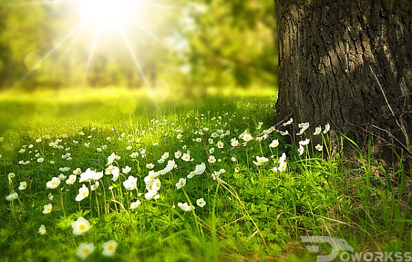 service image service image