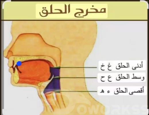 خدمة 1