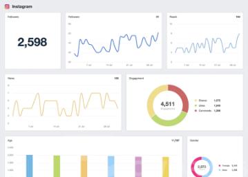 data analyst