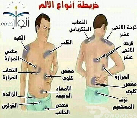 خدمة 1